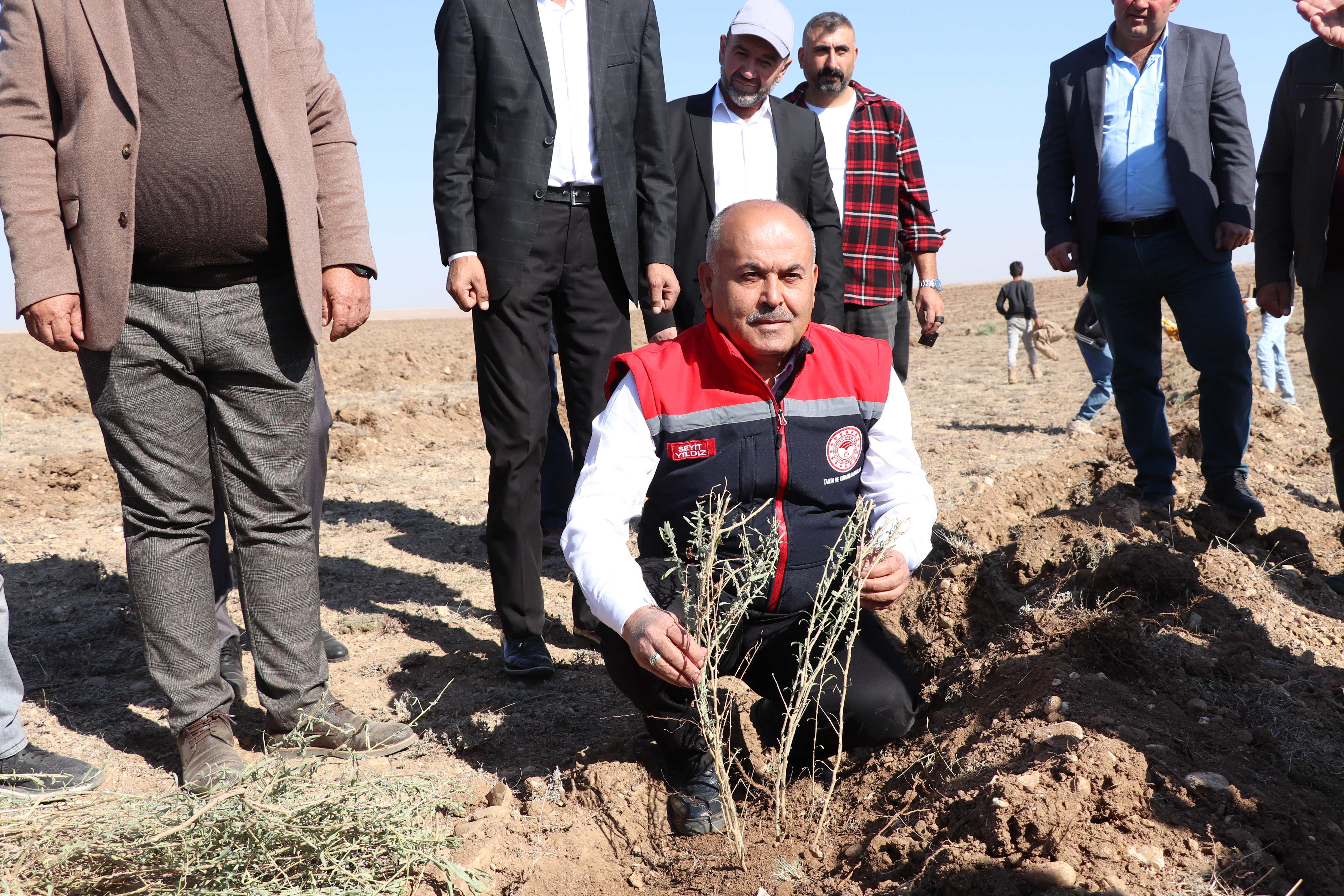 Mera Islah Amaçlı Tuz Çalısı Dikimi Projesi Başladı