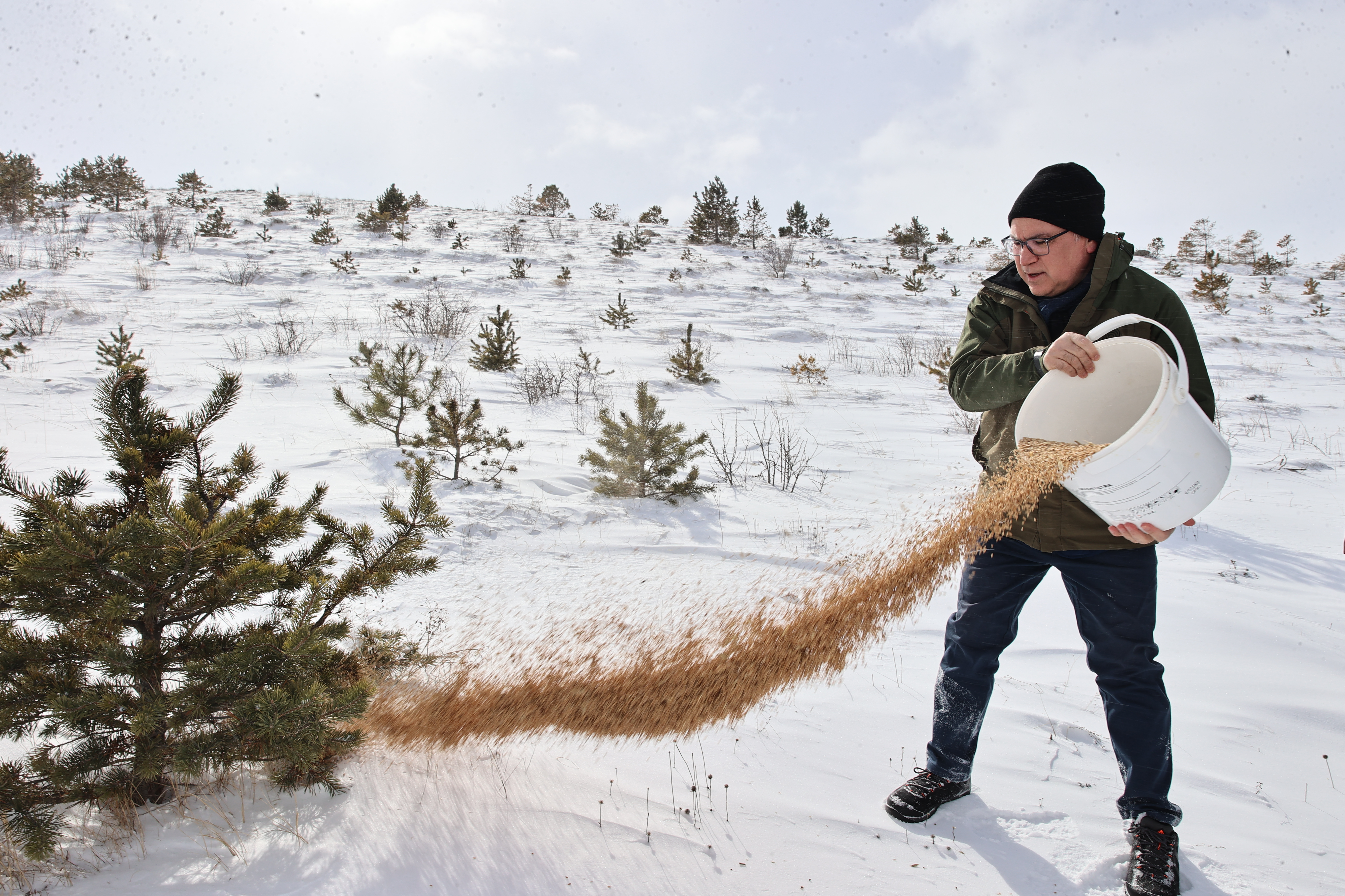 Sivas’ta Yaban Hayatı Unutulmadı