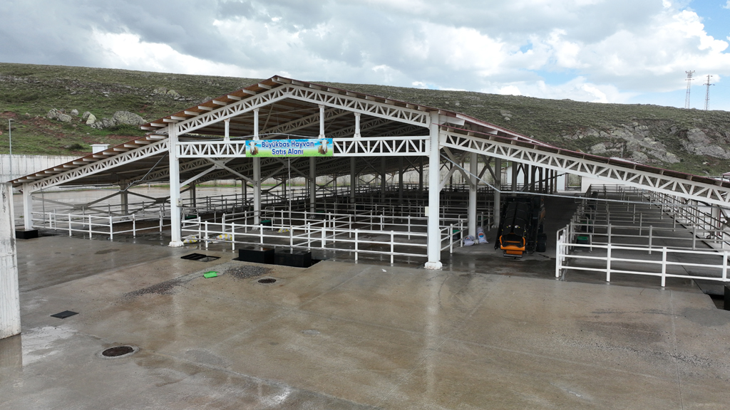 BU YIL KURBAN PAZARI KOVALI MEVKİİNE KURULACAK BU YIL KURBAN PAZARI KOVALI MEVKİİNE KURULACAK