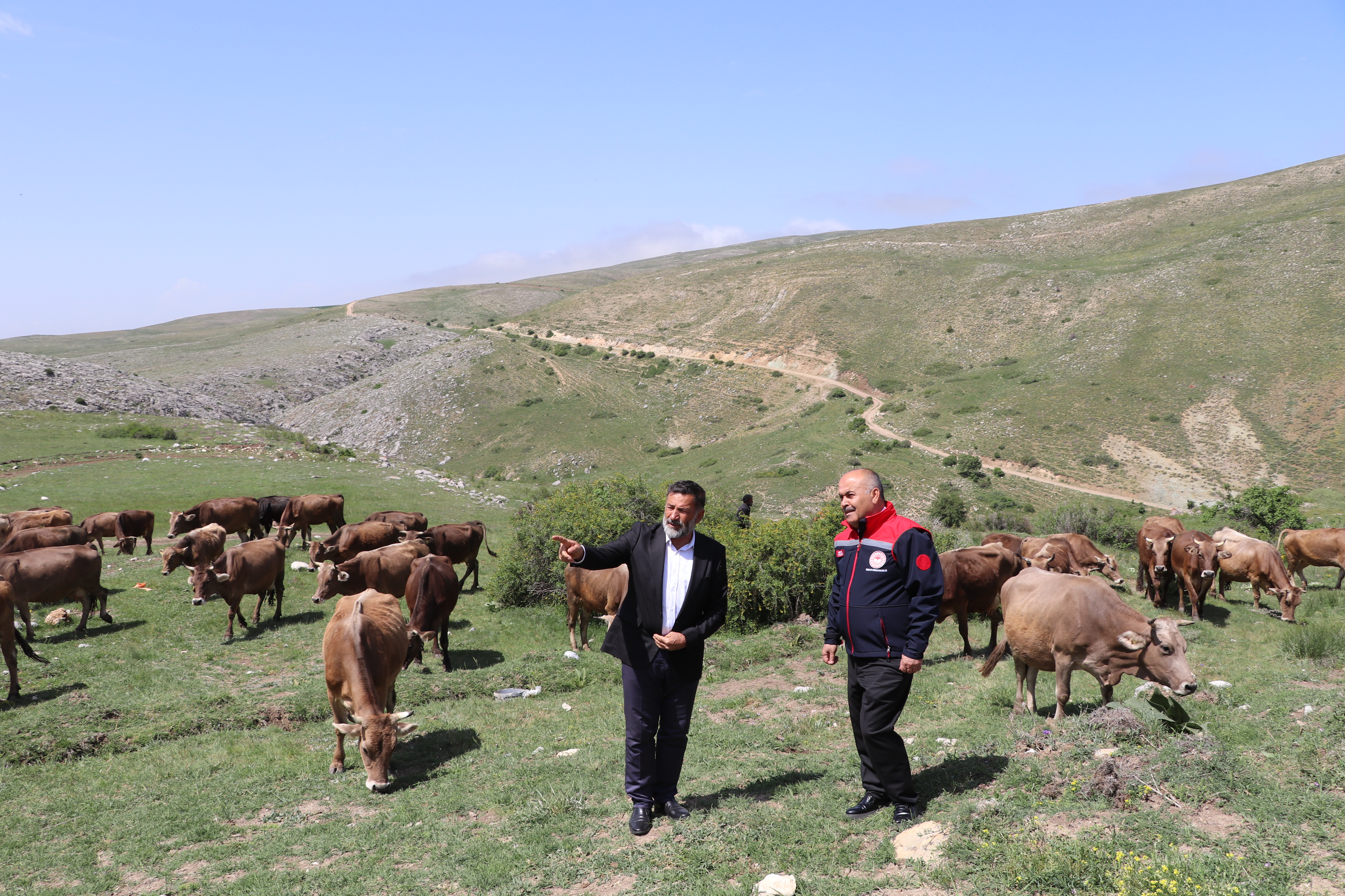 Kangal İlçesi Deliktaş Köyünde Mera Islahı Projesi Hayata Geçti