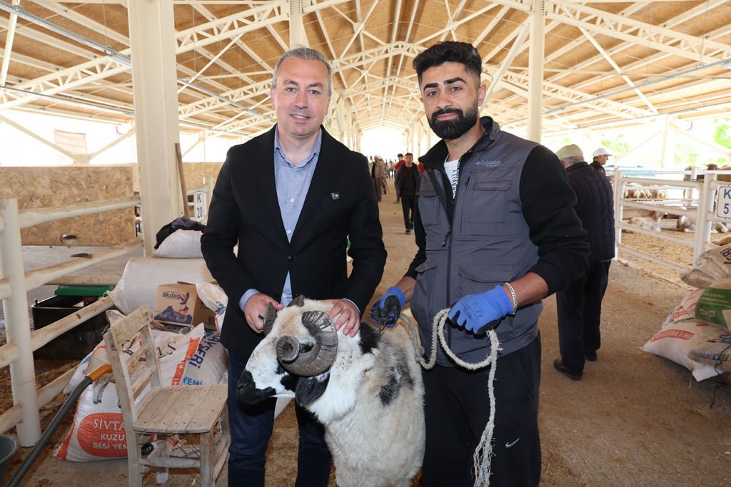YENİ KURBAN PAZARI ALICININ DA SATICININ DA YÜZÜNÜ GÜLDÜRDÜ YENİ KURBAN PAZARI ALICININ DA SATICININ DA YÜZÜNÜ GÜLDÜRDÜ