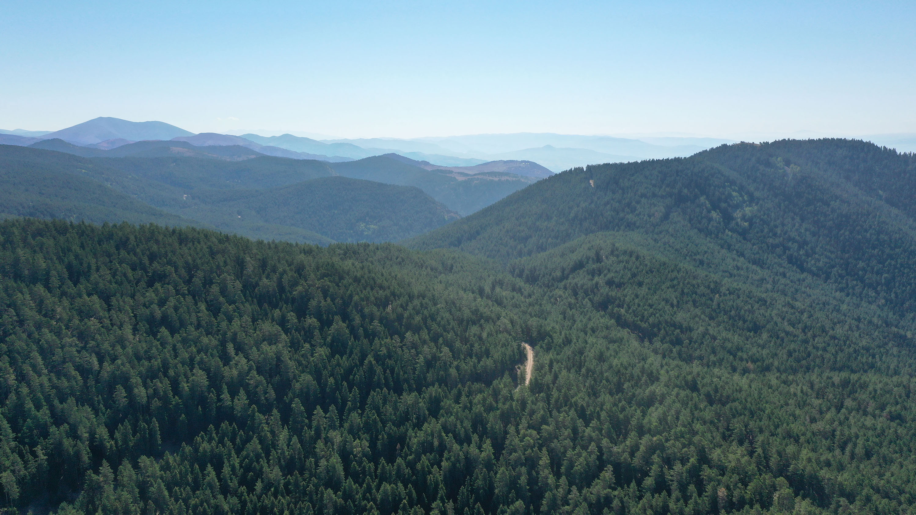 İlimiz Genelinde Ormanlara Giriş Yasaklandı İlimiz Genelinde Ormanlara Giriş Yasaklandı