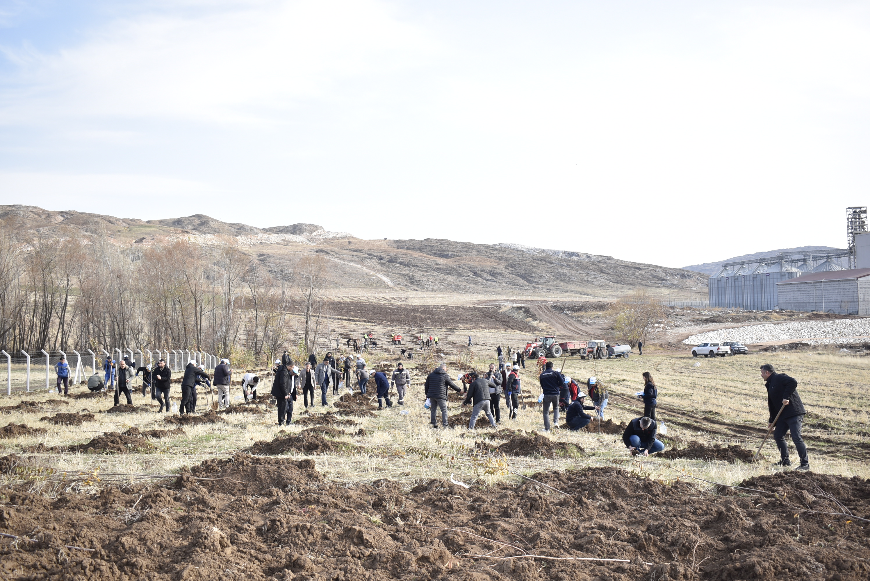 Sivas OSB’de Yeşil Dönüşüm! Binlerce Fidan Toprakla Buluşuyor