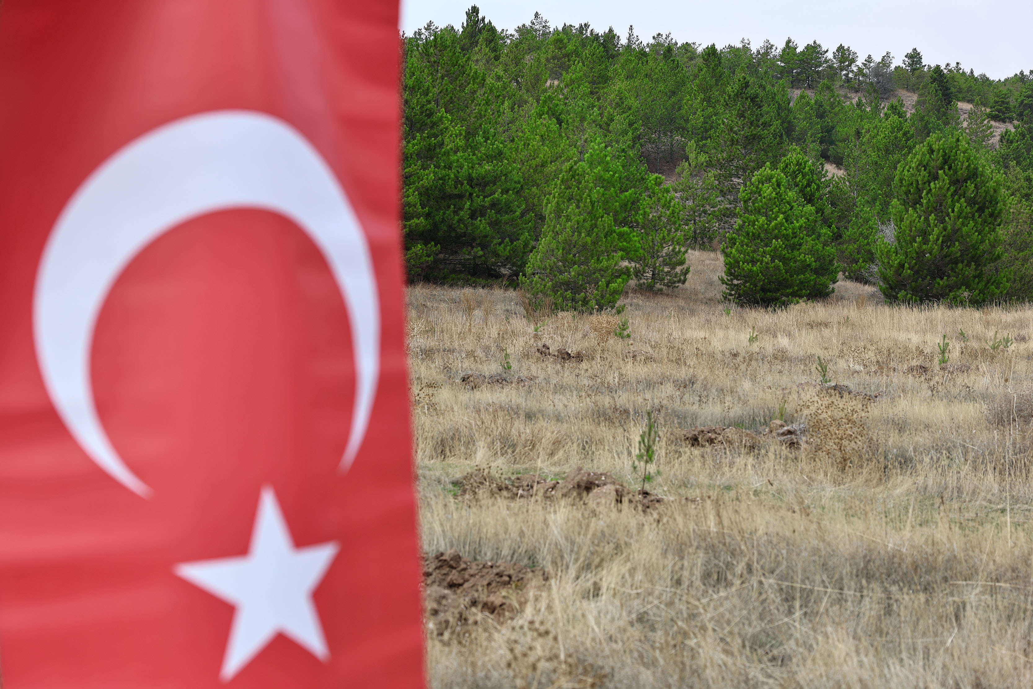 Milli Ağaçlandırma Günü'nde Fidanlar Toprakla Buluşturuldu Milli Ağaçlandırma Günü'nde Fidanlar Toprakla Buluşturuldu