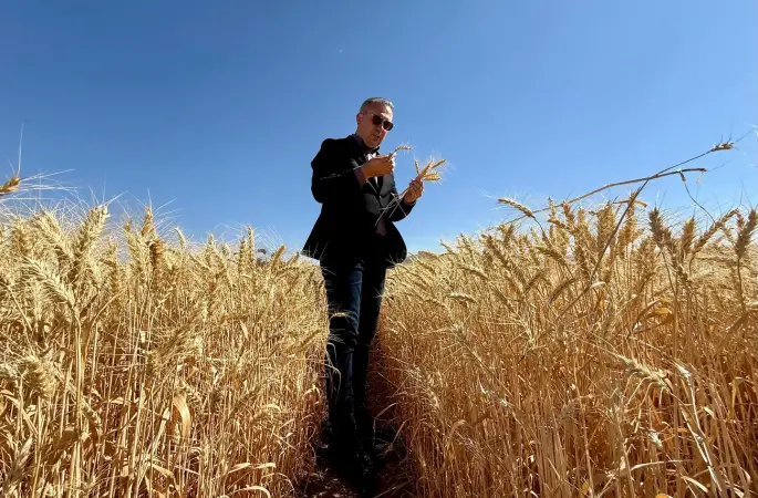 Yerli Buğdayda İlk Hasat Sevinci