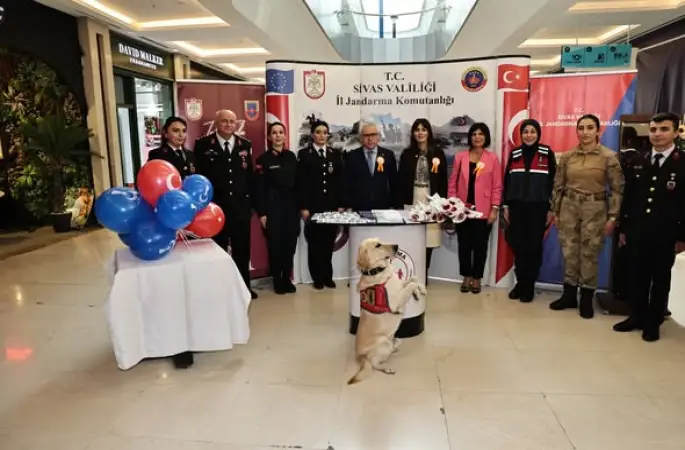 Kadına Yönelik Şiddet