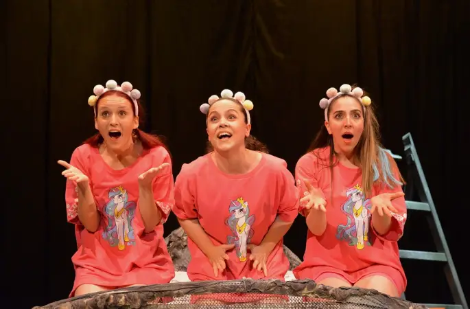 Ankara Devlet Tiyatrosu Oyunu Kadınlar Filler ve Saireler Sivas'ta sahnelendi