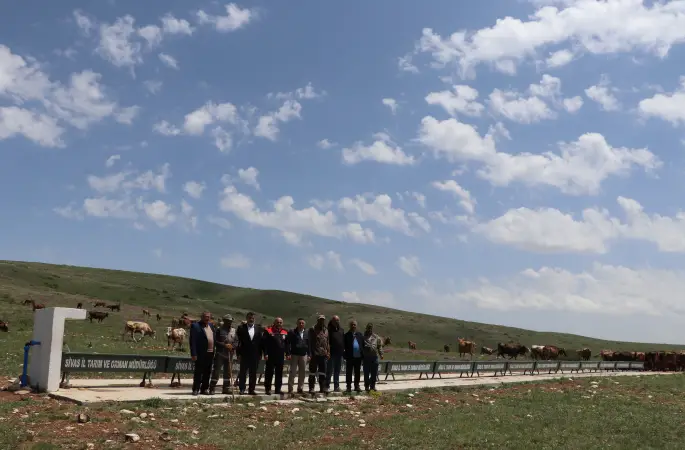 Kangal İlçesi Deliktaş Köyünde Mera Islahı Projesi Hayata Geçti