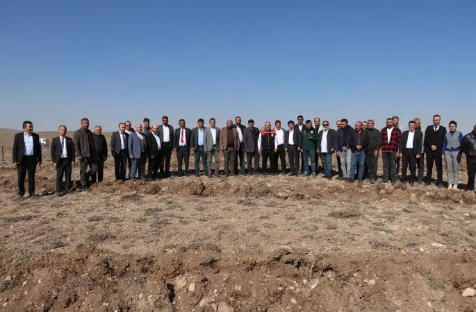 Mera Islah Amaçlı Tuz Çalısı Dikimi Projesi Başladı