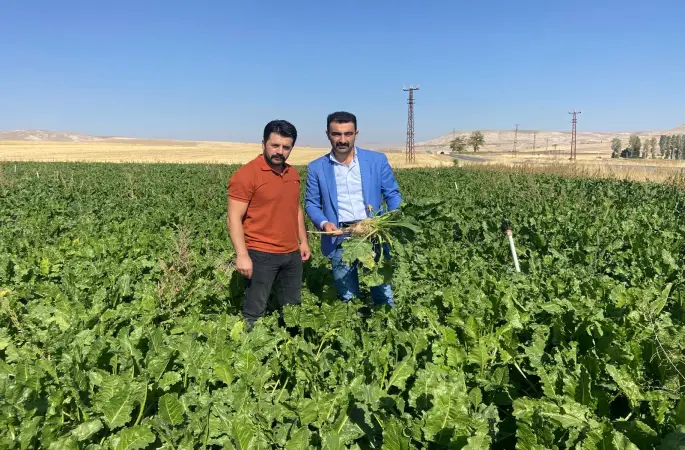 Kangal Ziraat Odası Başkanı Basri Çoban: “Pancar Fiyatı 3.750 TL Olmalı”