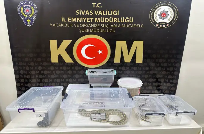 YASADIŞI HAYVAN TİCARETİ OPERASYONU