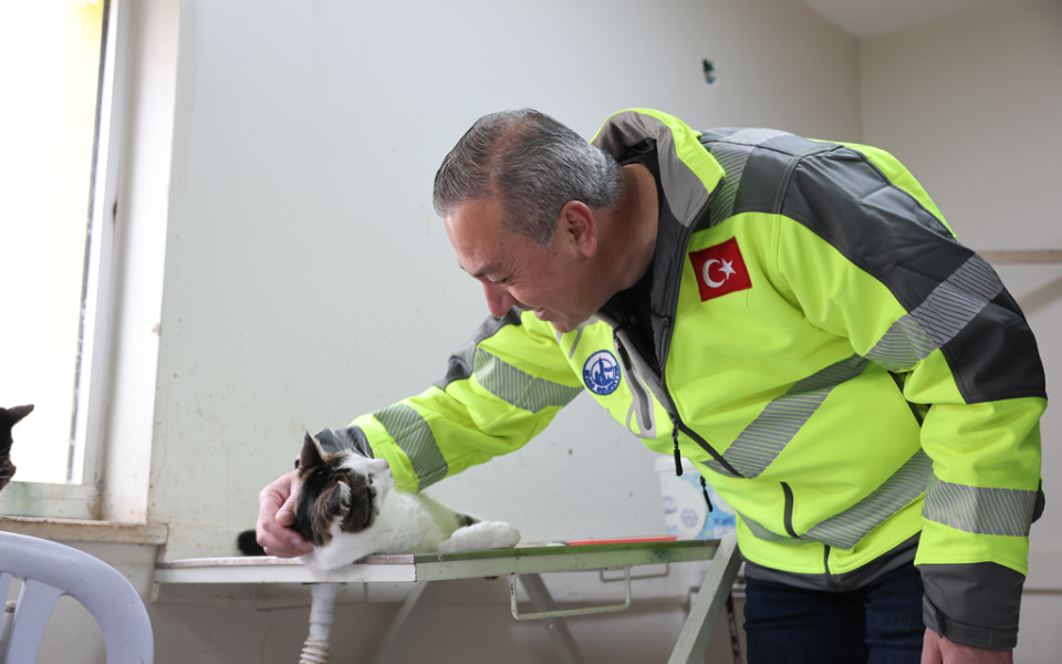 SOKAK HAYVANLARI İÇİN MODERN, SAĞLIKLI VE DOĞAL YAŞAM PROJESİ BAŞLADI